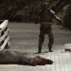 Movie Review: Trollhunter