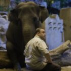 Movie Review: Zookeeper