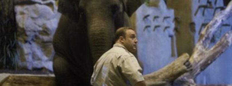 Movie Review: Zookeeper