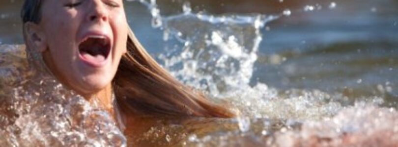 Movie Review: Shark Night 3D