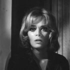 Looking Back at Giallo: A Primer