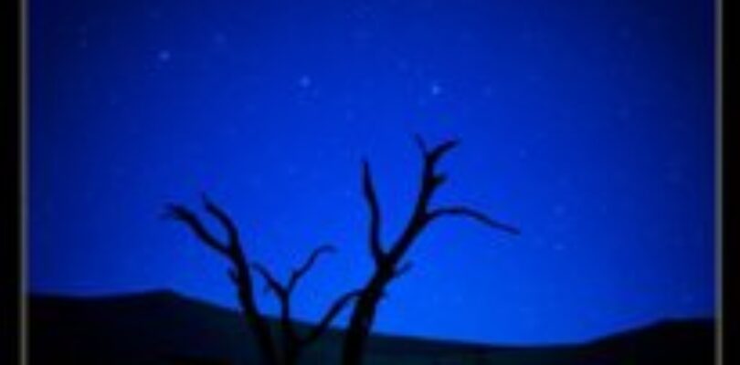 Samsara Ticket Giveaway!