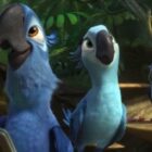Rio 2