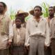 12 Years a Slave