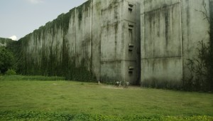 The Maze Runner