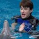 Dolphin Tale 2