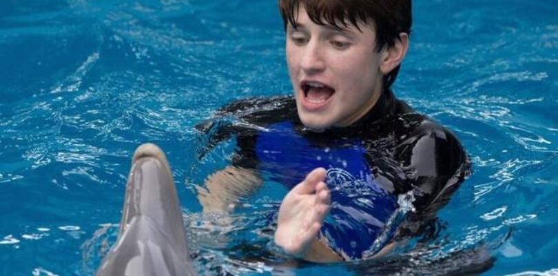 Dolphin Tale 2