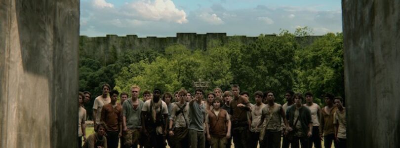 The Maze Runner