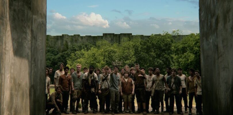 The Maze Runner