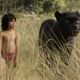 The Jungle Book