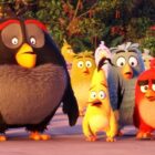 The Angry Birds Movie
