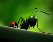 Minuscule: Valley of the Lost Ants