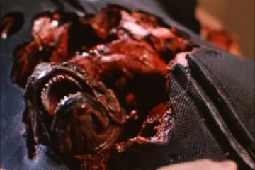 Piranha 2: The Spawning