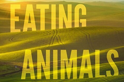 Eating Animals