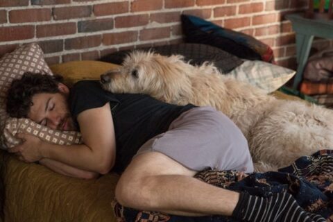 Dog Days Adam Pally