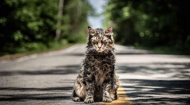 Pet Sematary