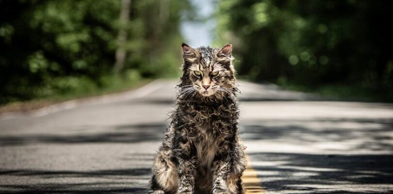 Pet Sematary