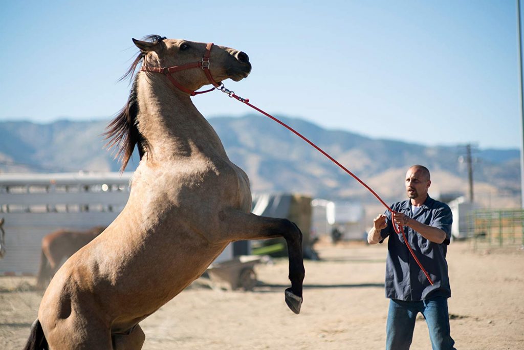 Matthias Schoenaerts in The Mustang