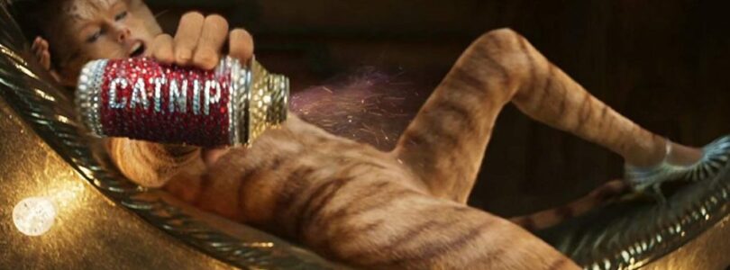 Taylor Swift in Cats