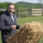 Steve Carell in Irresistible