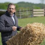 Steve Carell in Irresistible