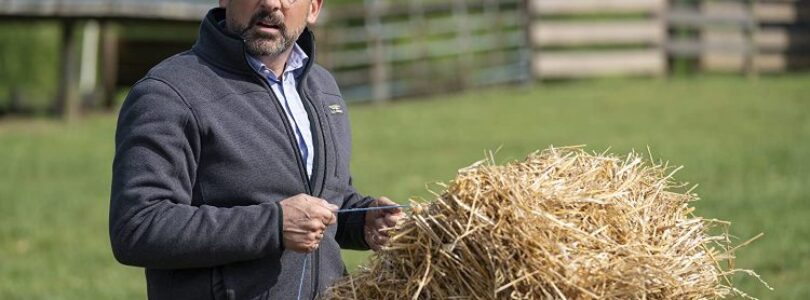 Steve Carell in Irresistible