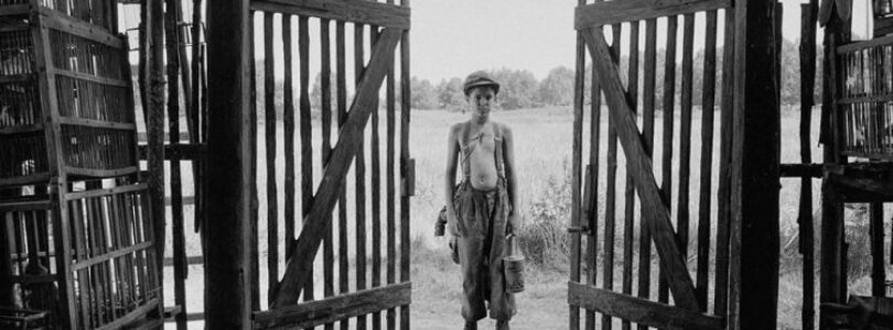 Petr Kotlár in The Painted Bird