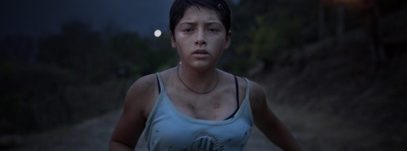 Prayers for the Stolen