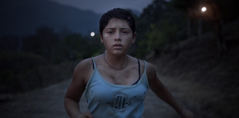 Prayers for the Stolen