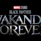 "Black Panther: Wakanda Forever"