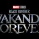 "Black Panther: Wakanda Forever"