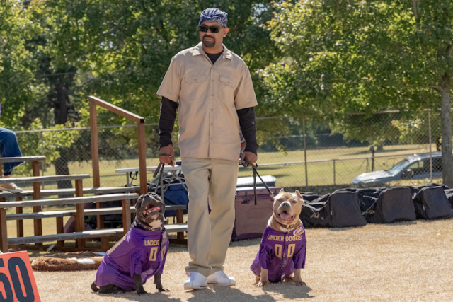 Mike Epps in "The Underdoggs." Photo by Wilford Harewood/Wilford Harewood - © 2024 METRO-GOLDWYN-MAYER PICTURES INC. All Rights Reserved.