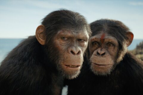 "Kingdom of the Planet of the Apes"