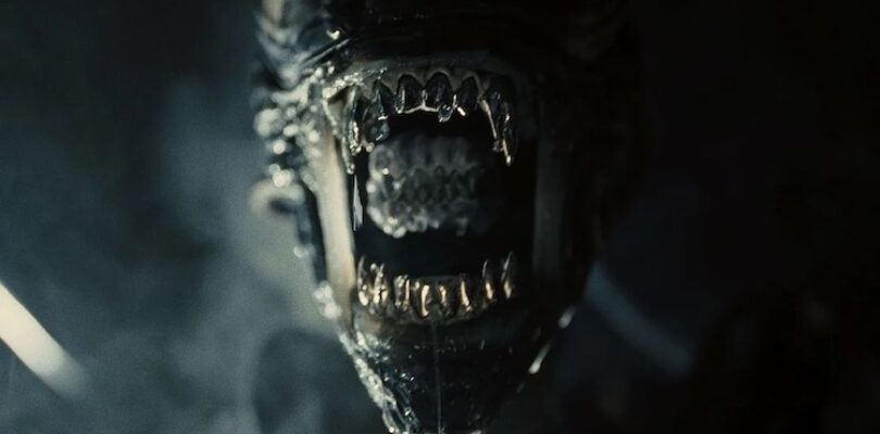 Xenomorph in "Alien: Romulus."
