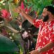 DJ Khaled in the “Higher Love” from "SMURFS."