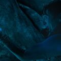 Austin Abrams “Whalefall.”